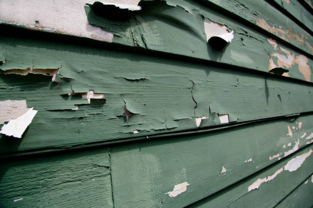 Best Property Management Cleanouts  in Perry, LA