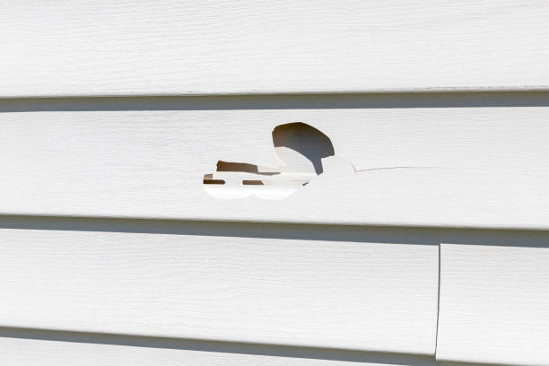 Best Construction Debris Removal  in Perry, LA